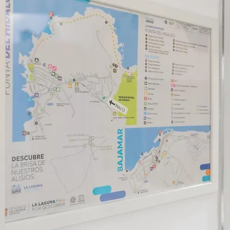 Mini Casa Azul Daire